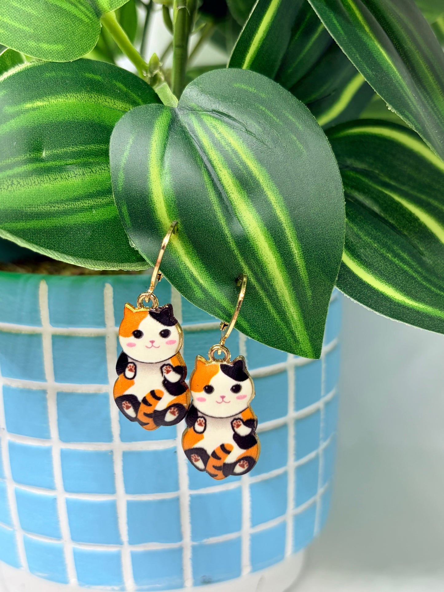 Cute Cat Huggies